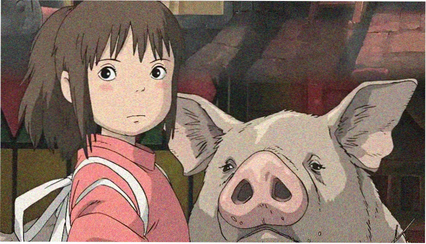 热播电视剧免费观看